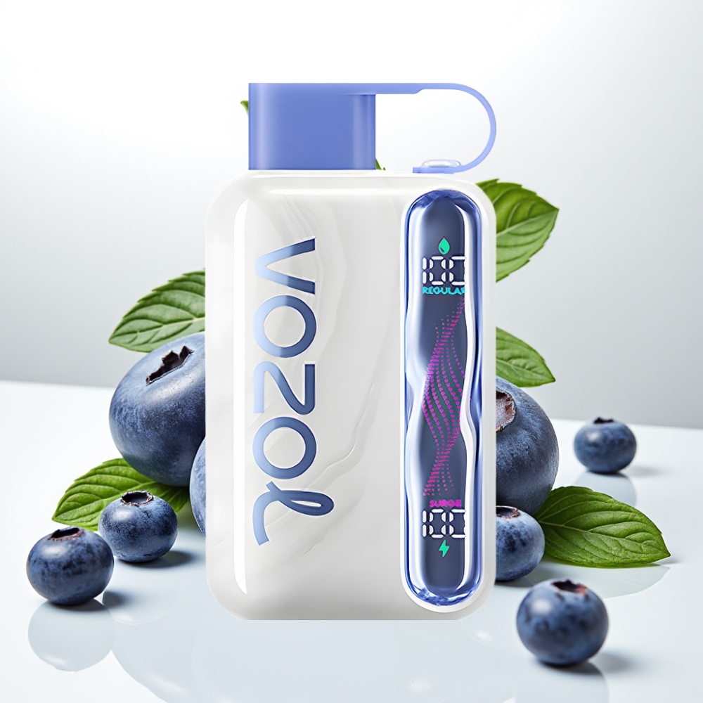 VOZOL STAR 40000 Enkratna Vape z 1000mAh baterijo, 20/50mg/ml nikotina, Type-C polnjenjem Borovničeva meta
